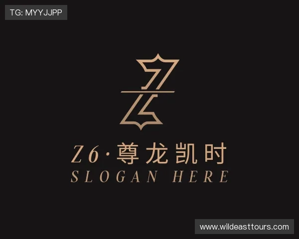 发现Z6·尊龙凯时